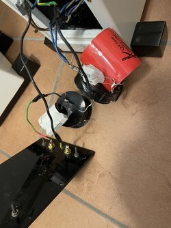 IMG_8584.jpeg