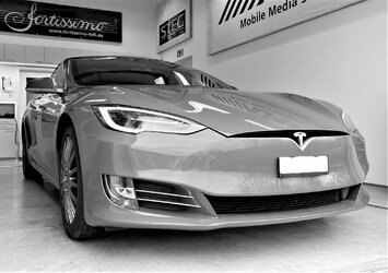 Tesla-S-ArcAudio (2).JPG
