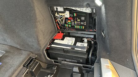 IMG_5146.jpeg