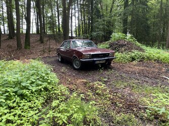 IMG_4993.jpeg