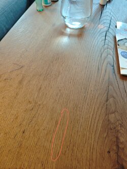 IMG_20250224_075017.jpg