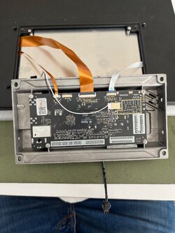 IMG_8246.jpeg
