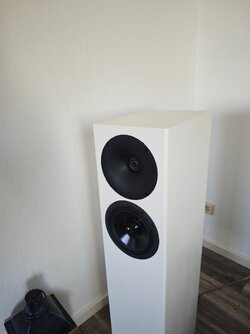 IMG_20250329_095010.jpg