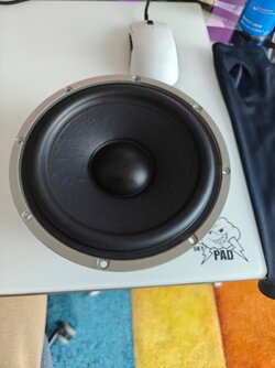 IMG20250603122207.jpg