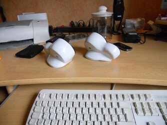 DSCN0310.jpg