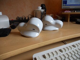 DSCN0311.jpg