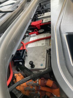 IMG_1893.jpeg IMG_1893.jpeg