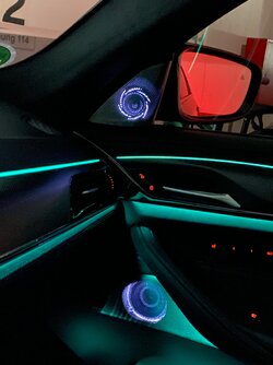 IMG_3503.jpeg