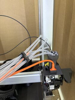 IMG_6283.jpeg