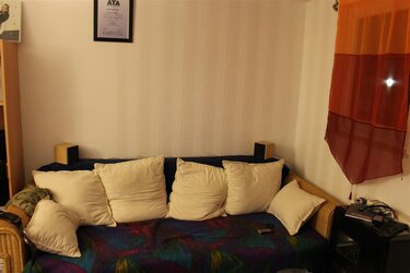 IMG_3011 (Large).JPG