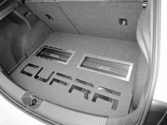 Leon5FCupraR (23).jpg