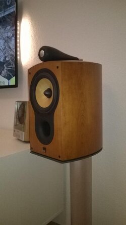 WP_20160209_008.jpg