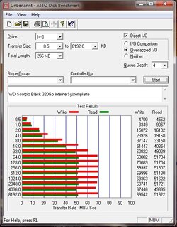 WD Scorpio intern.jpg