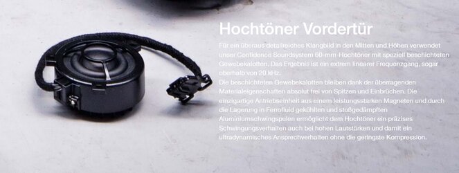 Hochtöner 3.jpg