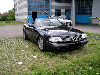 P1010032-1qqqqbbszene.JPG