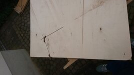 DSC_0448.JPG