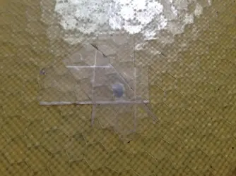 image2.webp