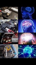7A67B95A-C52A-4DC4-8054-48E03F2C8B6A.jpg