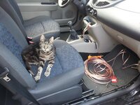 20120824_171746.jpg