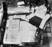 T6Cali (17).jpg