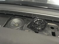 IMG_8482.jpg