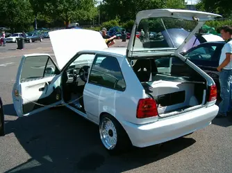 Kopie von Polo.webp