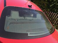 IMG_20200918_143817.jpg