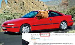 calibra ted.jpg