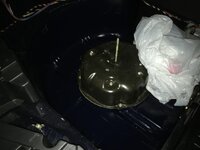 IMG_3959.jpg