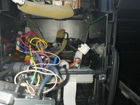 IMG_20191025_165106.jpg