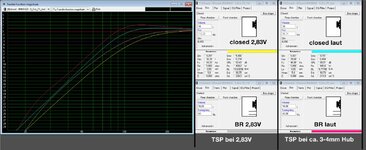 Simulation_mit_1W_TSP.jpg