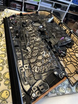 IMG_9644.jpeg