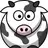 mucca