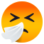 Niesendes Gesicht :sneezing_face: 🤧
