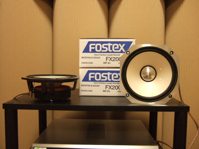 fx200_001.jpg