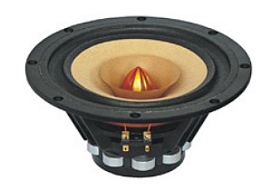 tangbandW81772.jpg