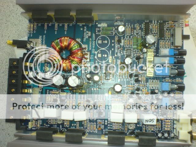 DSC01642.jpg