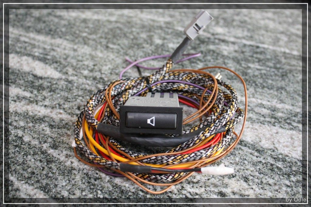 20120615_Taster_KBB.jpg