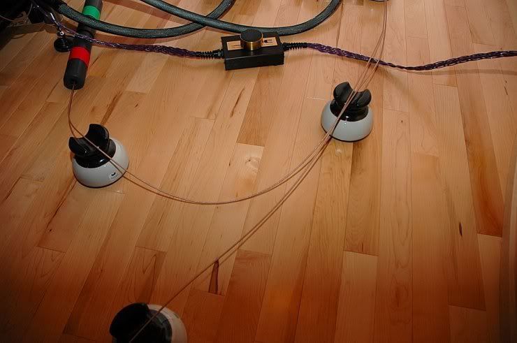 15_musroom_60012.jpg