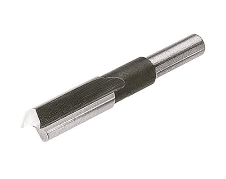 3113IGIngvL._SX450_.jpg
