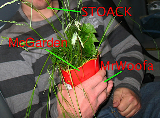 Bild%20013.jpg